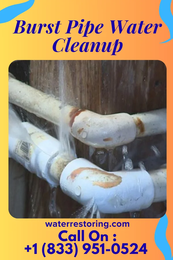 Burst Pipe Water Cleanup in East Hodge, LA