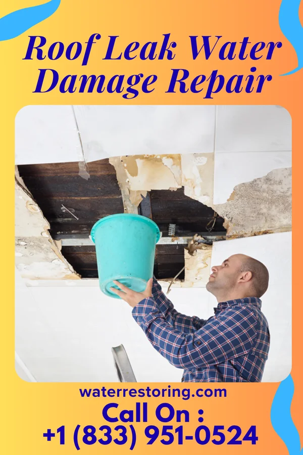 Roof Leak Water Damage Repair in East Hodge, LA